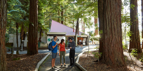 Redwoods Forest Rotorua iSITE